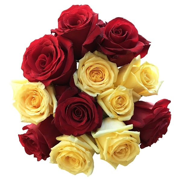 Mixed Red and Yellow Roses