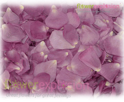 Lavender Petals