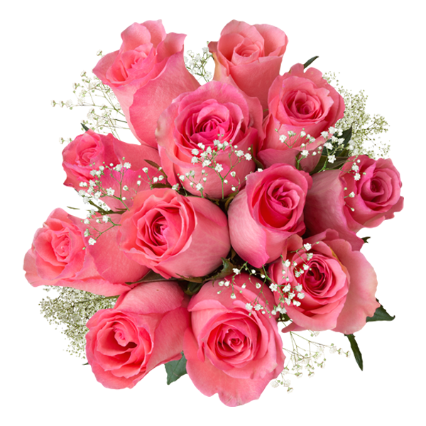 light pink roses with filler vday